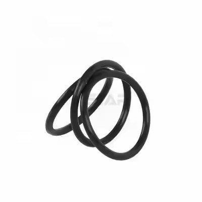 1095885 Polissé Tribo Encore Gen II Pompes de revêtement en poudre O Rings Support OEM personnalisé