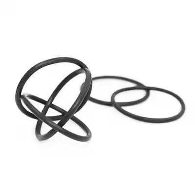 1095885 Joints toriques de pompe de revêtement en poudre Tribo Gen II polies, support OEM personnalisé