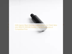 IG06 Injecteur de marquage noir Unité de soupape de contrôle d'air supplémentaire 1004370 1005590 Accessoires de revêtement en poudre à prix compétitif